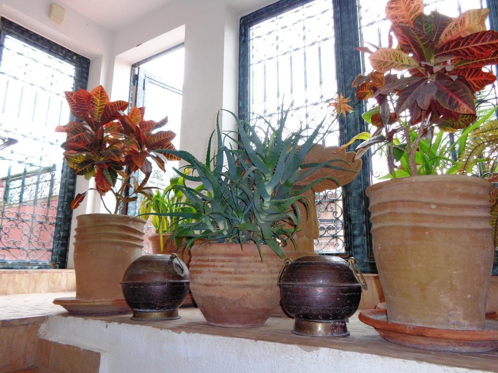 Riad Sesame Marrakesh Eksteriør billede